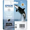 Image de EPSON Cartouche dencre T7609 Noir clair - Orque (C13T76094010)