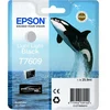 Image de Epson Noir Clair T7609