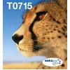Image de Cartouche Epson T0715 Guepard Cartouches Dencre Multipack C M J N