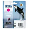 Image de Epson C13t76034n10 Cartouche D'encre 1 Pièce(s) Original Magenta Vif