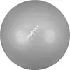 Image de Ballon d'entraînement et de gymnastique Avento Gris 75 cm 42OC-SLV