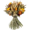 Image de Kit création bouquet fleurs séchées - FLOWERBOX - Orange - DIY - 8 cm hauteur - 39 cm longueur