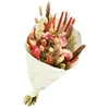 Image de Bouquet de Fleurs séchées Dandy Rose Orange 50 cm