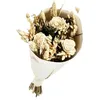 Image de Bouquet de fleurs séchées Crème 50 cm