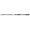 Image de Canne Shimano Sienna AR TEGT Glued 40-80g - noir - Noir - 360 m
