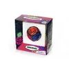 Image de Casse-tête Gear Ball RTGB de Recent Toys - Multicolore - Pour enfants à partir de 10 ans