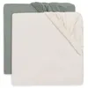 Image de Drap-housse Jersey 40/50x80/90cm - Sea Green/Ivory - 2 Unités