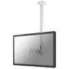 Image de Neomounts Fpma-c100white Support De Plafond Blanc