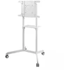 Image de Neomounts NS-M1250WHITE Blanc