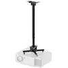 Image de Neomounts CL25-550BL1 Support plafond pour projecteur support de plafond inclinable + pivotant réglable en hauteur r