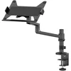 Image de Neomounts By Newstar Ds20-425bl1 Support De Livres Bras Pour Notebook Noir 43,9 Cm (17.3")