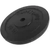 Image de Disque Tunturi 10 kg noir