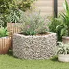 Image de vidaXL Lit Surélevé à Gabion Hexagonale 100x90x50 cm Jardinière Pot de Fleur 142532