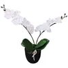 Image de Plante Artificielle Avec Pot Orchidée 30 Cm Blanc Vidaxl