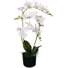 Image de Plante Artificielle Avec Pot Orchidée 65 Cm Blanc Vidaxl
