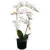 Image de vidaXL Plante artificielle avec pot Orchidée 65 cm Blanc