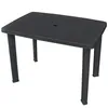 Image de vidaXL Table de Jardin 101x68x72 cm Plastique Anthracite Résistante aux Intempéries Pour Balcon ou Jardin Trou pour 43594