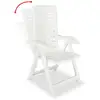 Image de Vidaxl lot de 2 chaises inclinables de jardin plastique blanc 43895