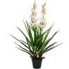 Image de Plante Artificielle Orchidée Cymbidium Avec Pot 100 Cm Vert Vidaxl