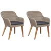 Image de vidaXL Chaises dextérieur avec coussins 2 pcs Résine tressée Marron