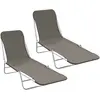 Image de Chaises Longues Pliables Lot De 2 Acier Et Tissu Gris Vidaxl