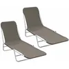 Image de Lot de 2 chaises longues pliables - Gris - 56 x 182 x 24.5 cm