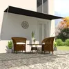 Image de vidaXL Auvent rétractable 400x150 cm Anthracite