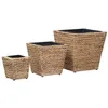 Image de Ensemble de jardinières surélevées en jacinthe deau - VidaXL - 3 tailles - Cadre en acier