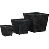 Image de Lits Surélevés 3 Pcs Jacinthe D'eau Noir Vidaxl