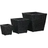 Image de Ensemble de jardinières surélevées en jacinthe deau - vidaXL - Noir - 40cm 30cm 20cm