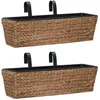Image de vidaXL Jardinières 2 pcs Jacinthe deau