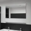 Image de vidaXL Miroir mural avec étagère 100x60 cm Verre trempé