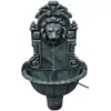 Image de Fontaine Murale Design De Tête De Lion Vidaxl
