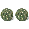 Image de 2 Pièce De Boule 27 Cm Avec Guirlande Lumineuse Solaire 24 Led Vidaxl