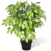 Image de Palmier Artificiel Plastique Avec Pot 60 Cm Vidaxl