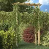 Image de Arche Pour Rosiers 150 X 60 X 204 Cm Bois Imprégné Vidaxl