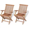Image de vidaXL Chaises pliables de jardin lot de 2 Bois de teck solide 41999