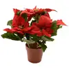 Image de Plante De Fleurs Artificielles De Pâques, 27x27cm,