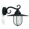 Image de Pasture-applique D'extérieur Descendante Métal H30cm Noir Philips