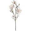 Image de Magnolia Couleur Rose 88 Cm