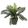 Image de Palmier Sago (cyca Revoluta) Pvc Avec Pot Gris 33x11.5cm