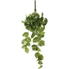 Image de Potos Pendentif Couleur Vert 14x58x20cm