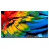 Image de Philips 43hfl6214u 109,2 cm (43) 4k ultra hd smart tv wifi anthracite 400 cdm² écran enroulable