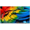 Image de Philips 50hfl6214u 127 Cm (50") 4k Ultra Hd Smart Tv Wifi Anthracite 400 Cd/m² Écran Enroulable