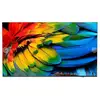Image de Tv intelligente philips 4k ultra hd 65