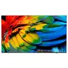 Image de Philips 75hfl6214u 190,5 cm (75) 4k ultra hd smart tv wifi anthracite 400 cdm²