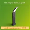 Image de PHILIPS Borne SPLAY - 12W - Anthracite