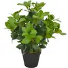 Image de Plante Artificielle Avec Pot Laurier Vert 40 Cm Vidaxl