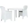 Image de Ensemble De Bistro 3 Pcs Plastique Blanc Aspect De Rotin Vidaxl