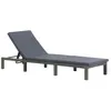 Image de vidaXL Chaise longue avec coussin Résine tressée Anthracite